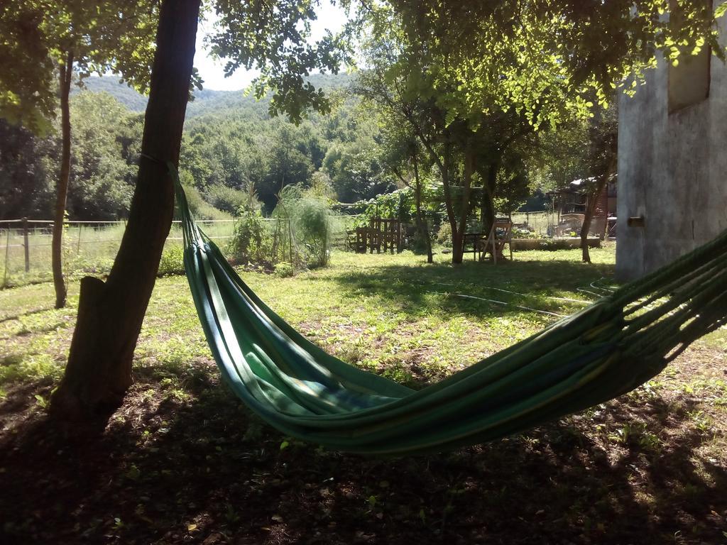 Appartement Ca la iaia Veva à Sant Joan les Fonts Extérieur photo